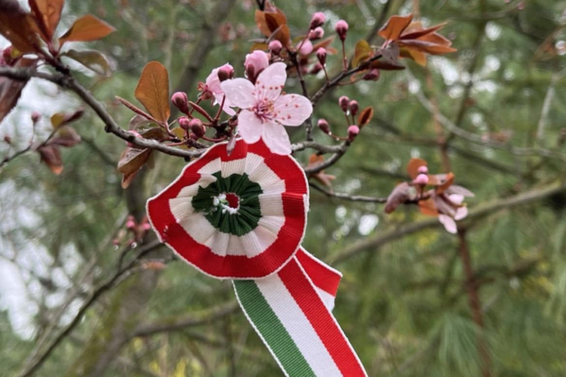 A 2025.  március 15-ei ünnep margójára